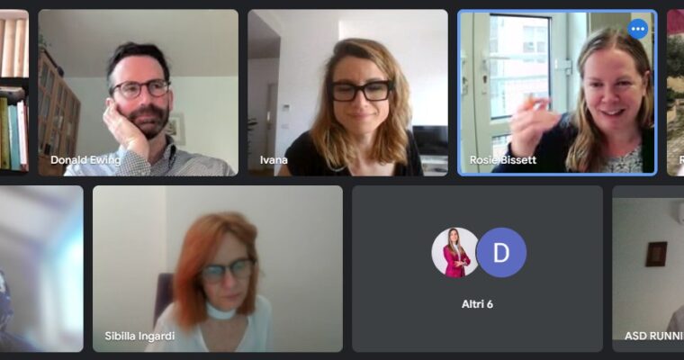 SASLED Project – Online meeting